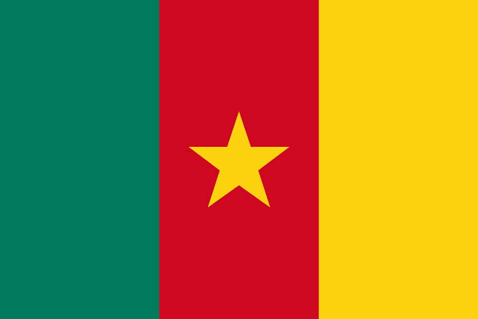 Cameroon Flag